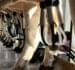 Pre-Milking Cleaning: Strategies for Improving Milk Quality and Animal Health