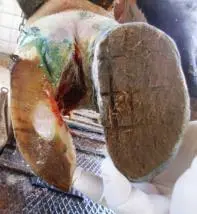 Panarisyum